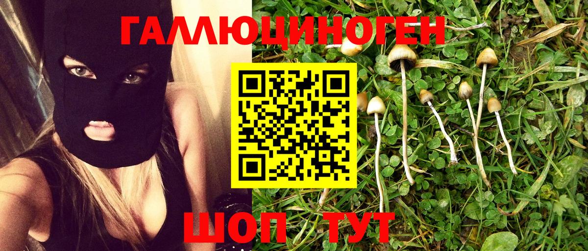 Галлюциногенные грибы Magic Shrooms Малоярославец