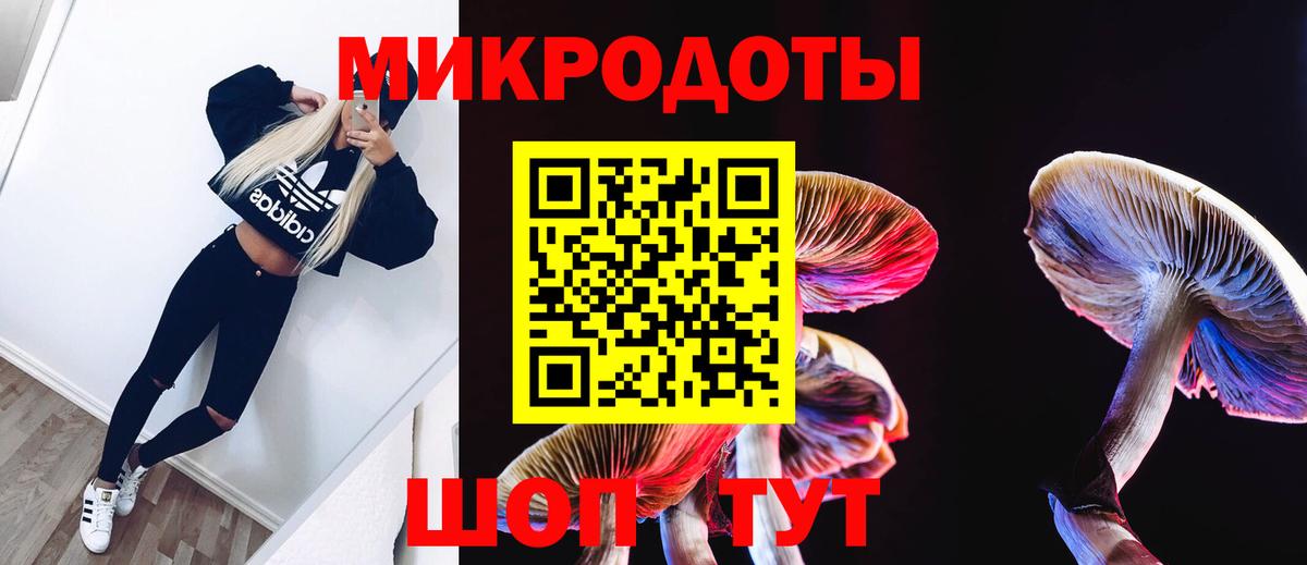 Псилоцибиновые грибы прущие грибы  Псилоцибиновые грибы Psilocybe  Вход с VPN  где можно купить наркотик  Малоярославец 